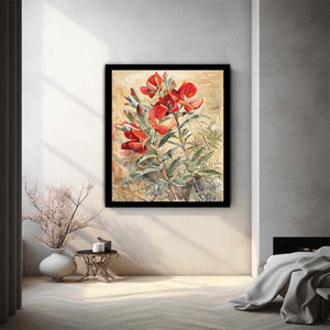 Sturts Desert Pea