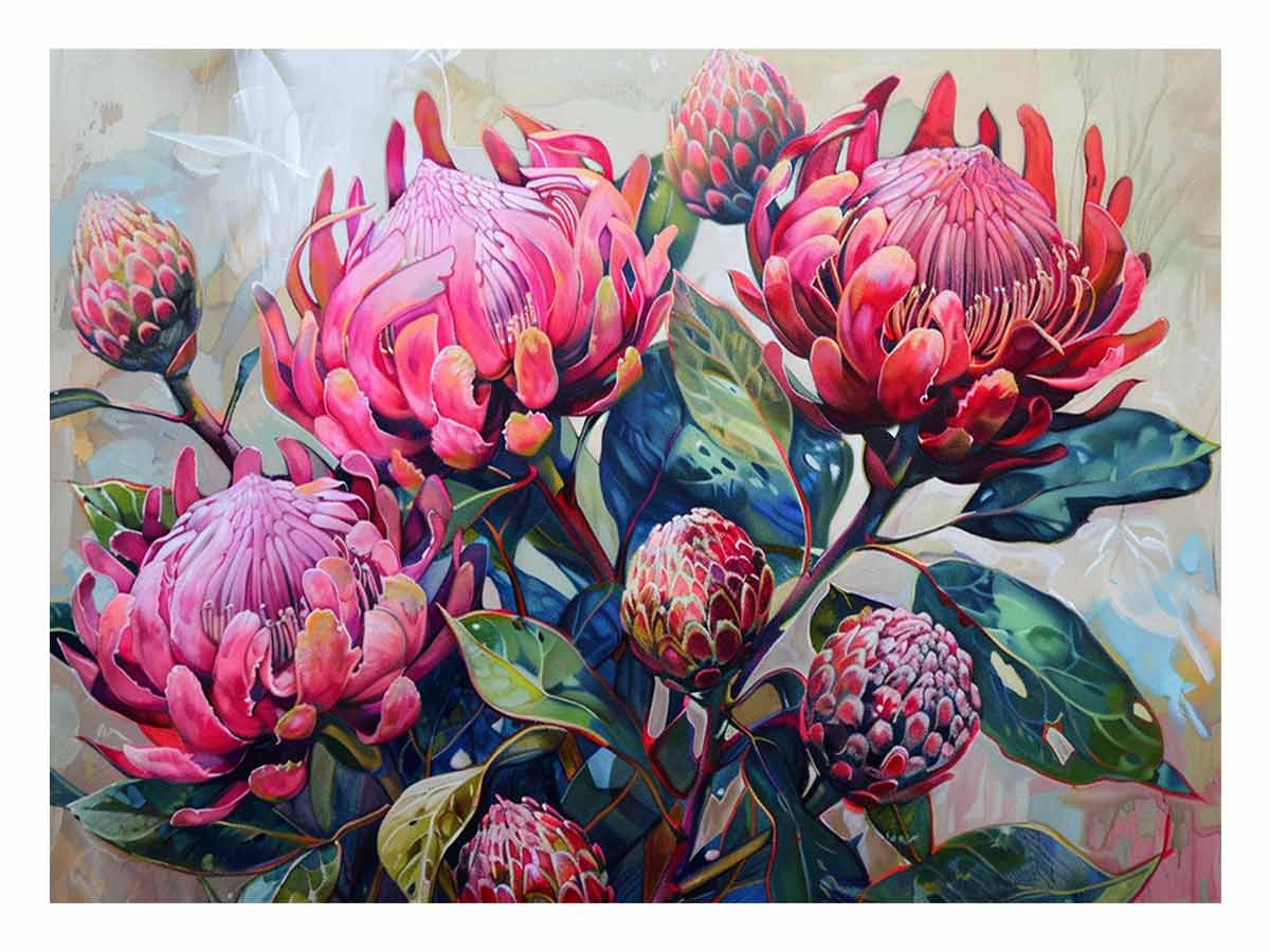 Australian Waratah Bloom
