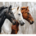 Three Horses in Motion