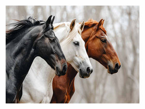 Three Horses in Motion