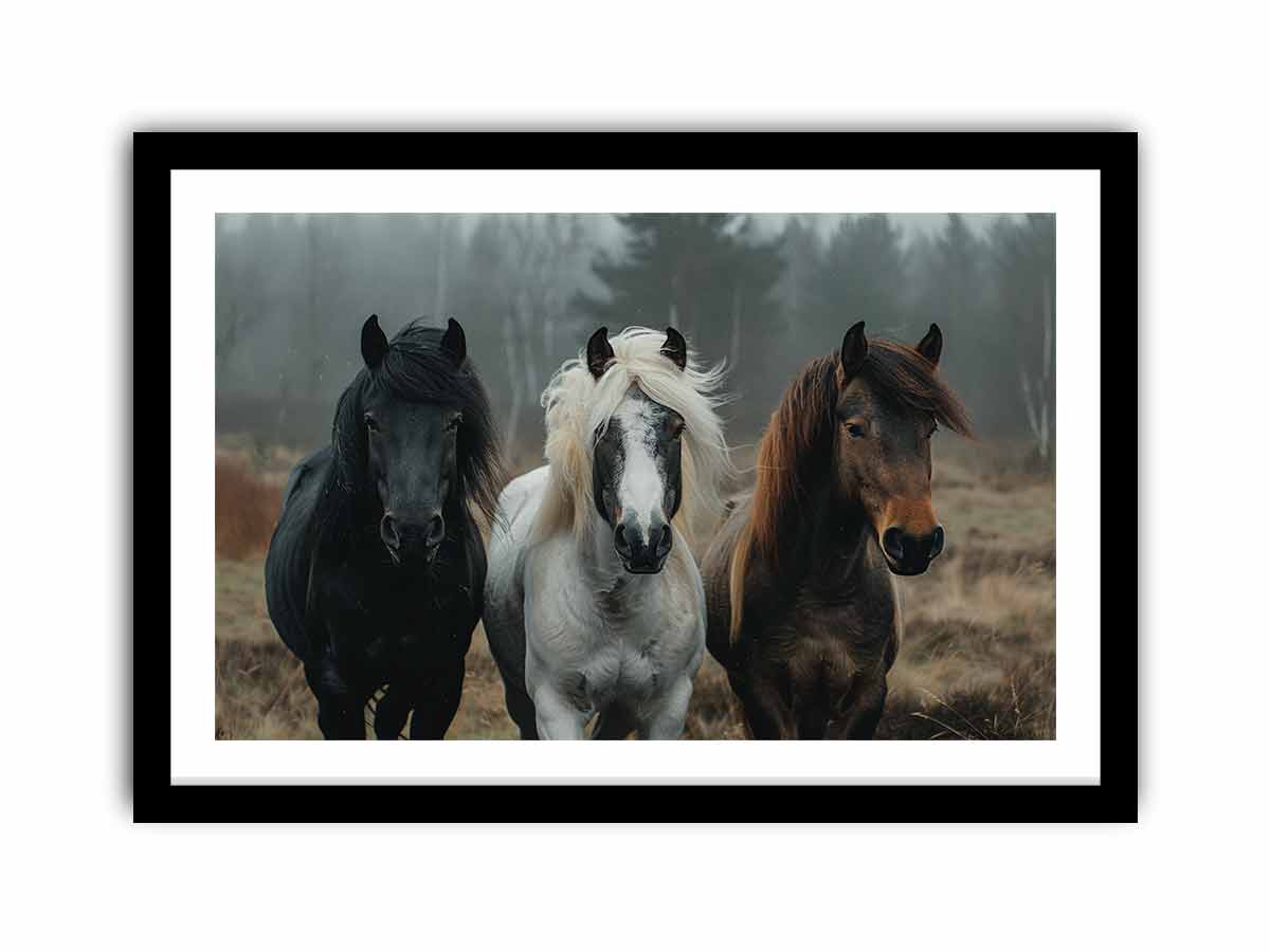 Framed Print