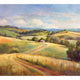 Australian Outback Horizon – Native Landscape Scene