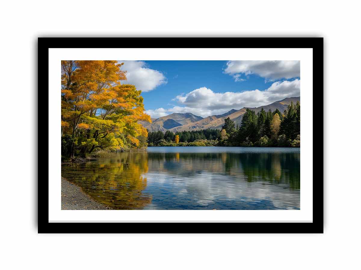 Framed Print