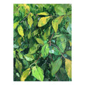 Bush leaf