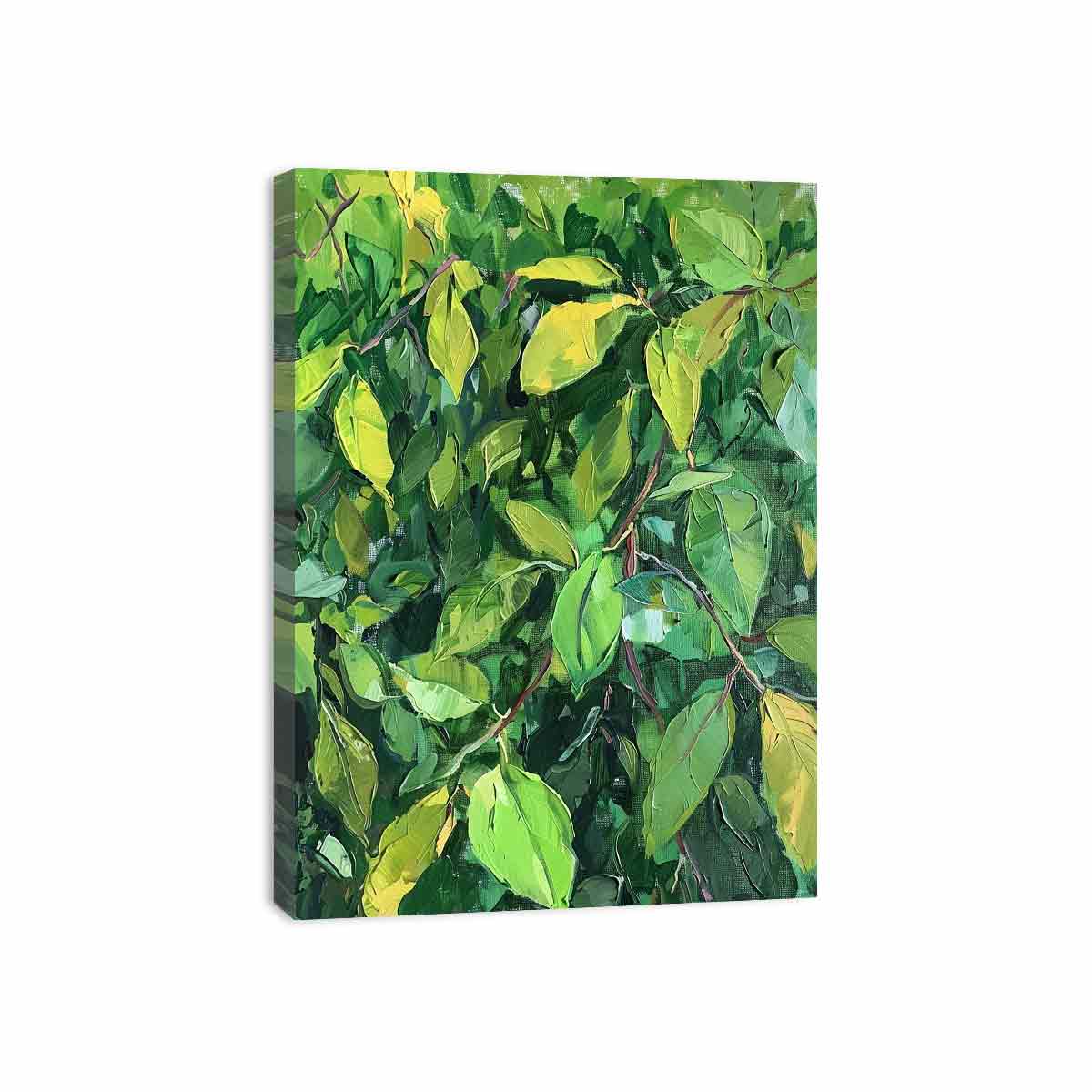 Streched canvas