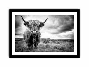 Framed Print