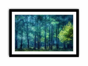 Framed Print