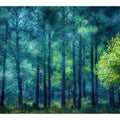 Pine Forest
