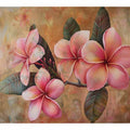 Pink Frangipani