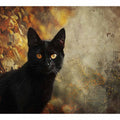 Cat of the Midnight Veil