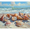 Collection of  Shells