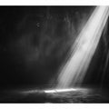 Spotlight