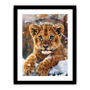 Framed Print