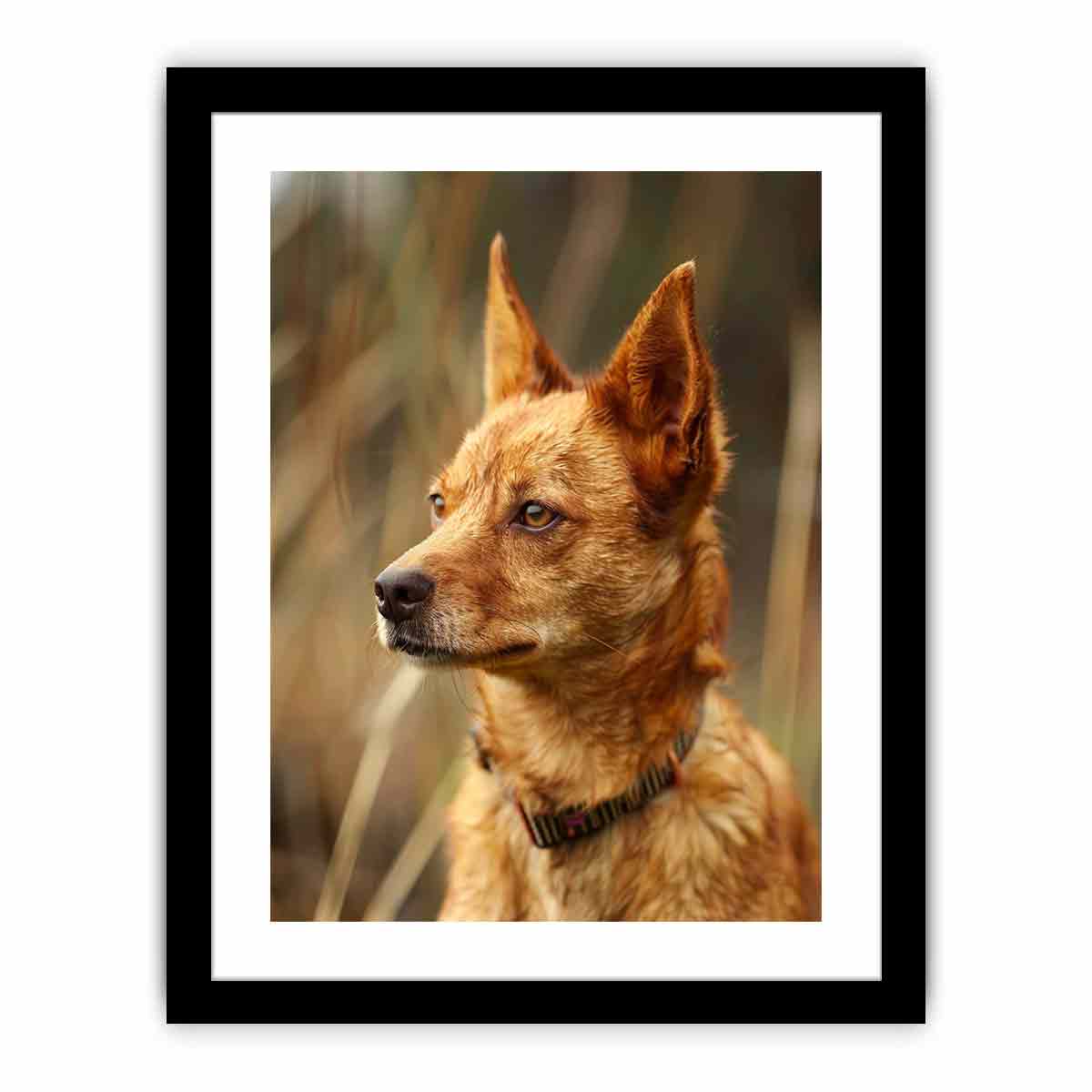 Framed Print