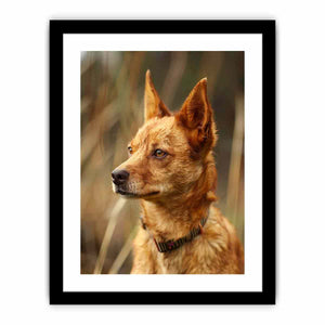 Framed Print