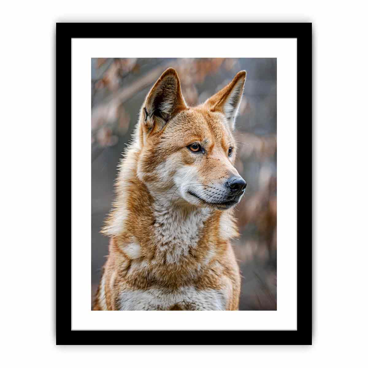 Framed Print