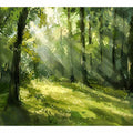 Dappled Light