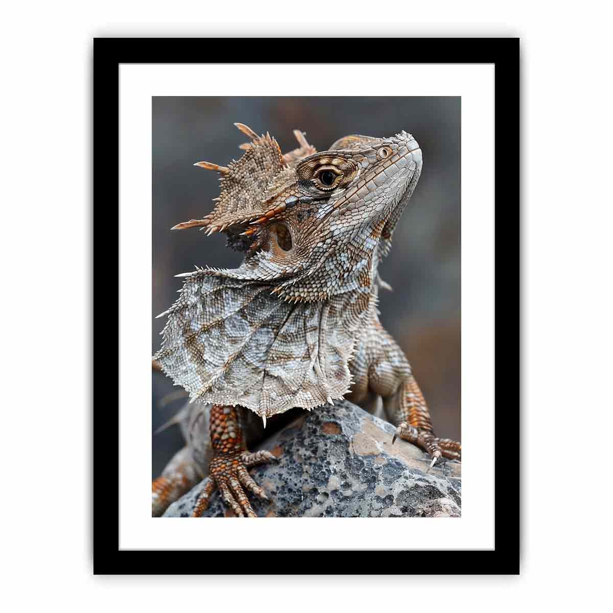 Framed Print