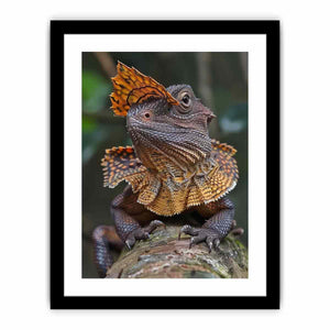 Framed Print