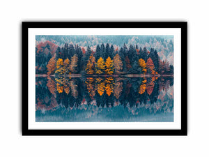Framed Print