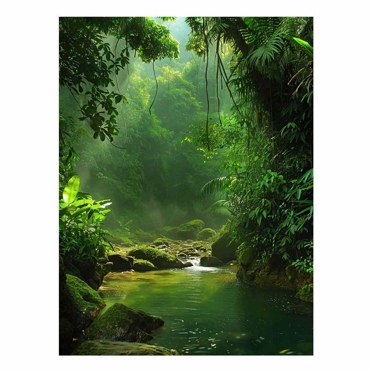 Amazon Forest