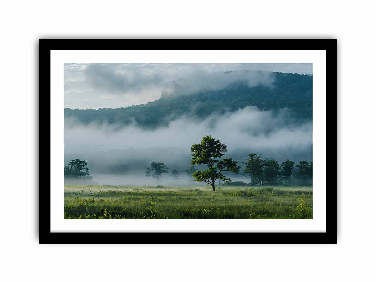 Framed Print