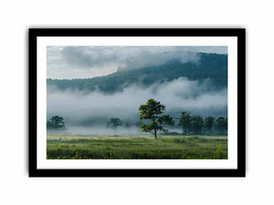 Framed Print