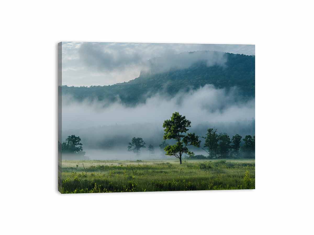 Streched canvas