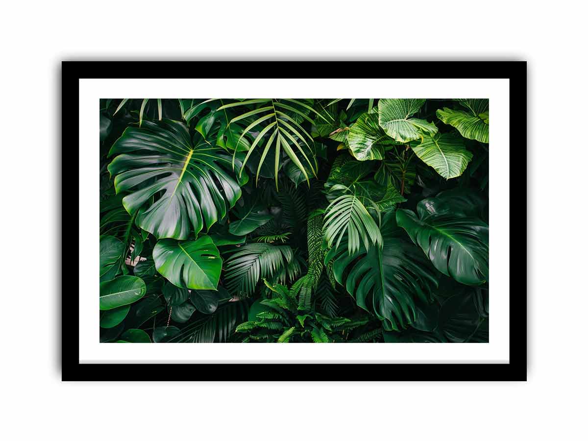 Framed Print