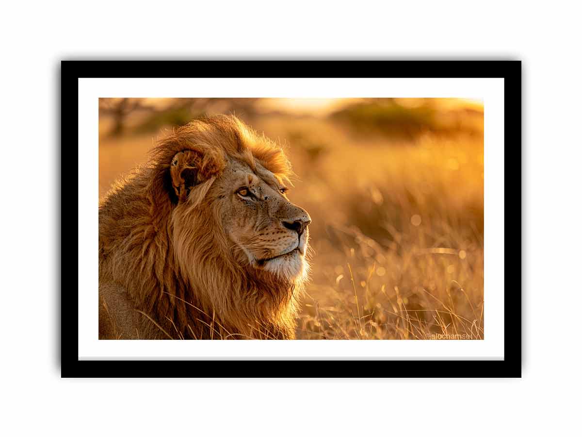 Framed Print