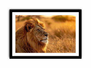 Framed Print