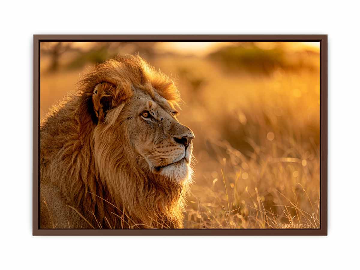 Canvas Print