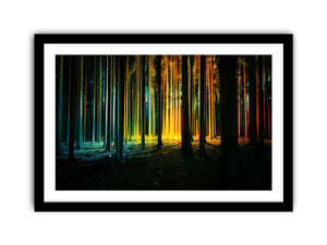 Framed Print