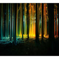 Golden Trees