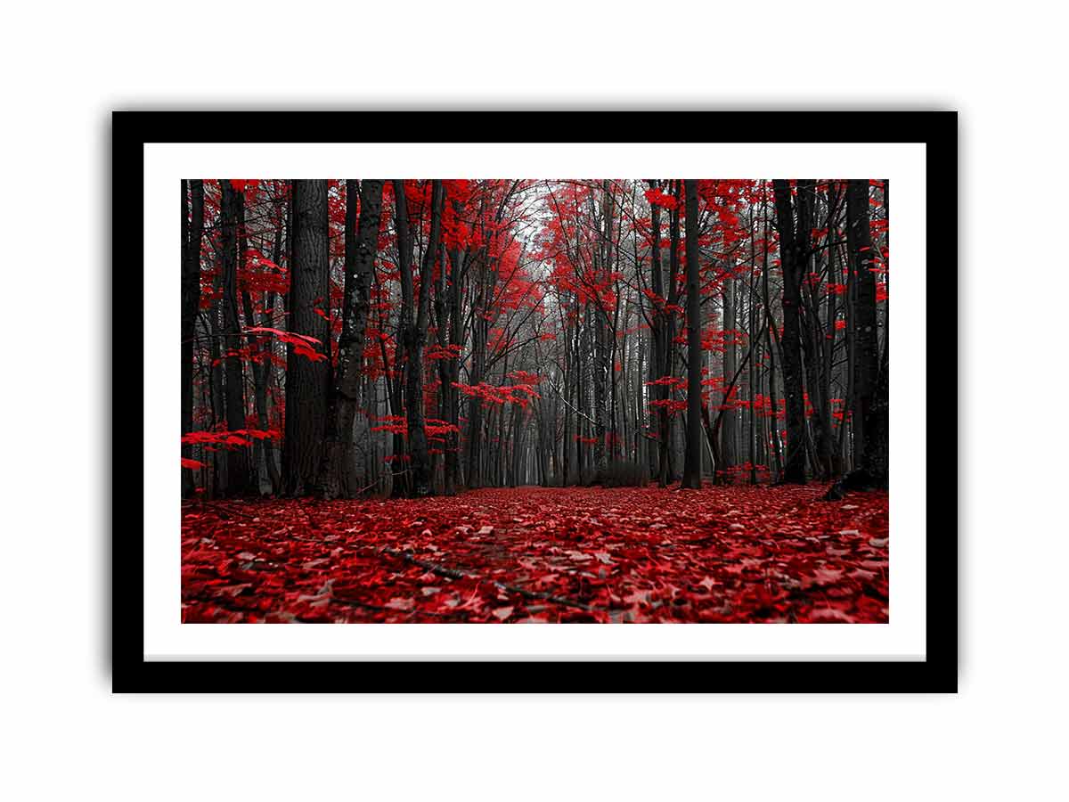 Framed Print