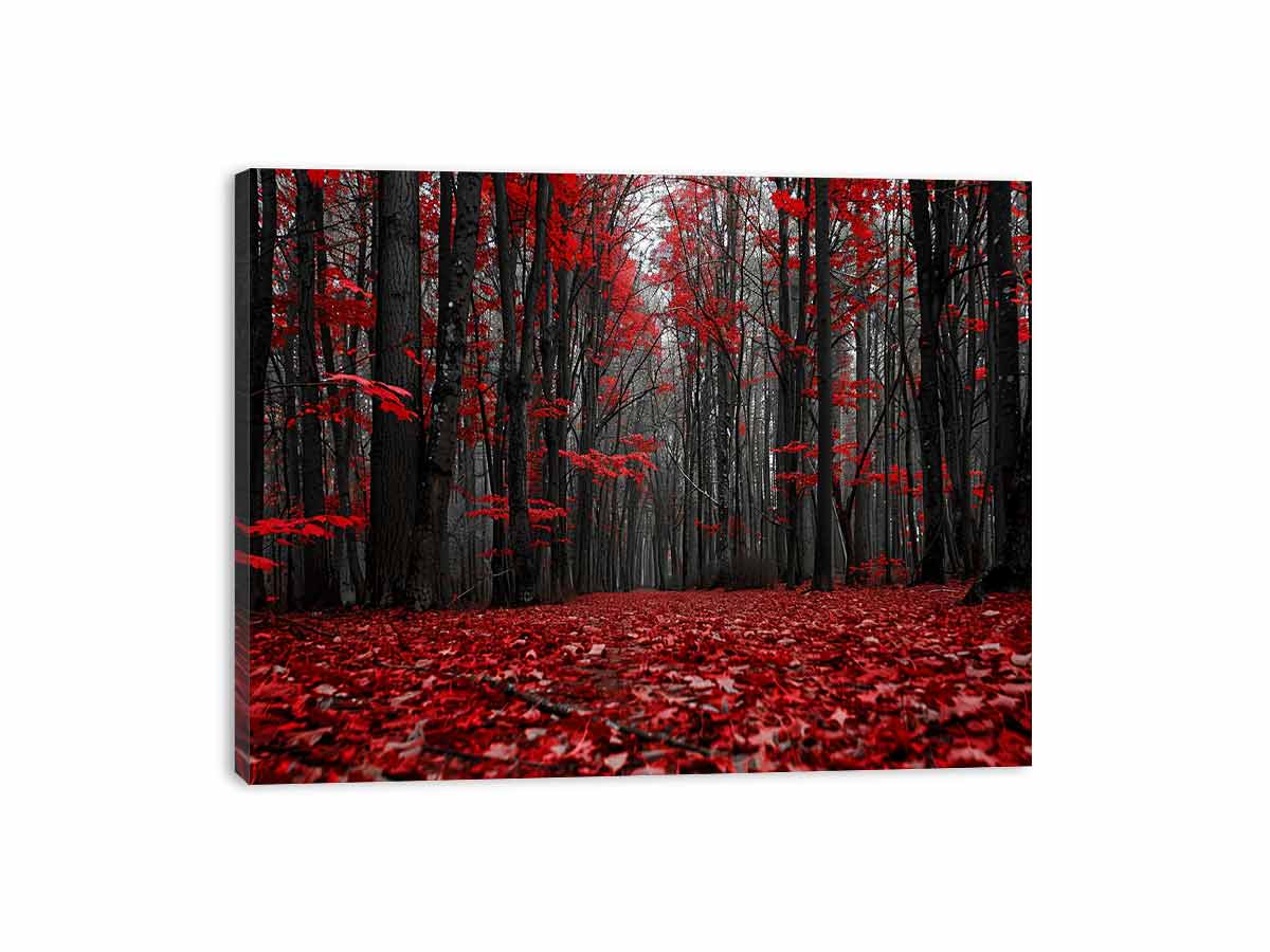 Streched canvas