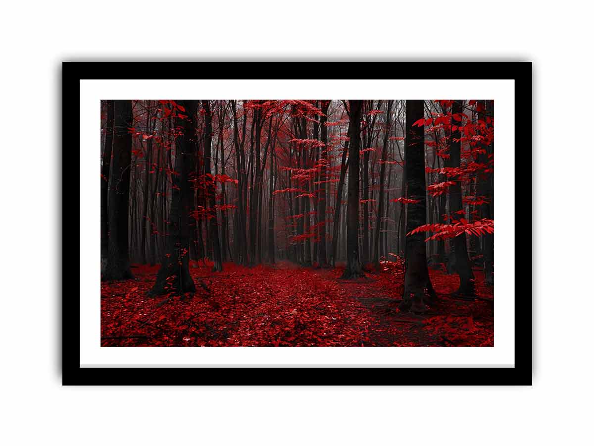 Framed Print