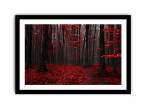 Framed Print