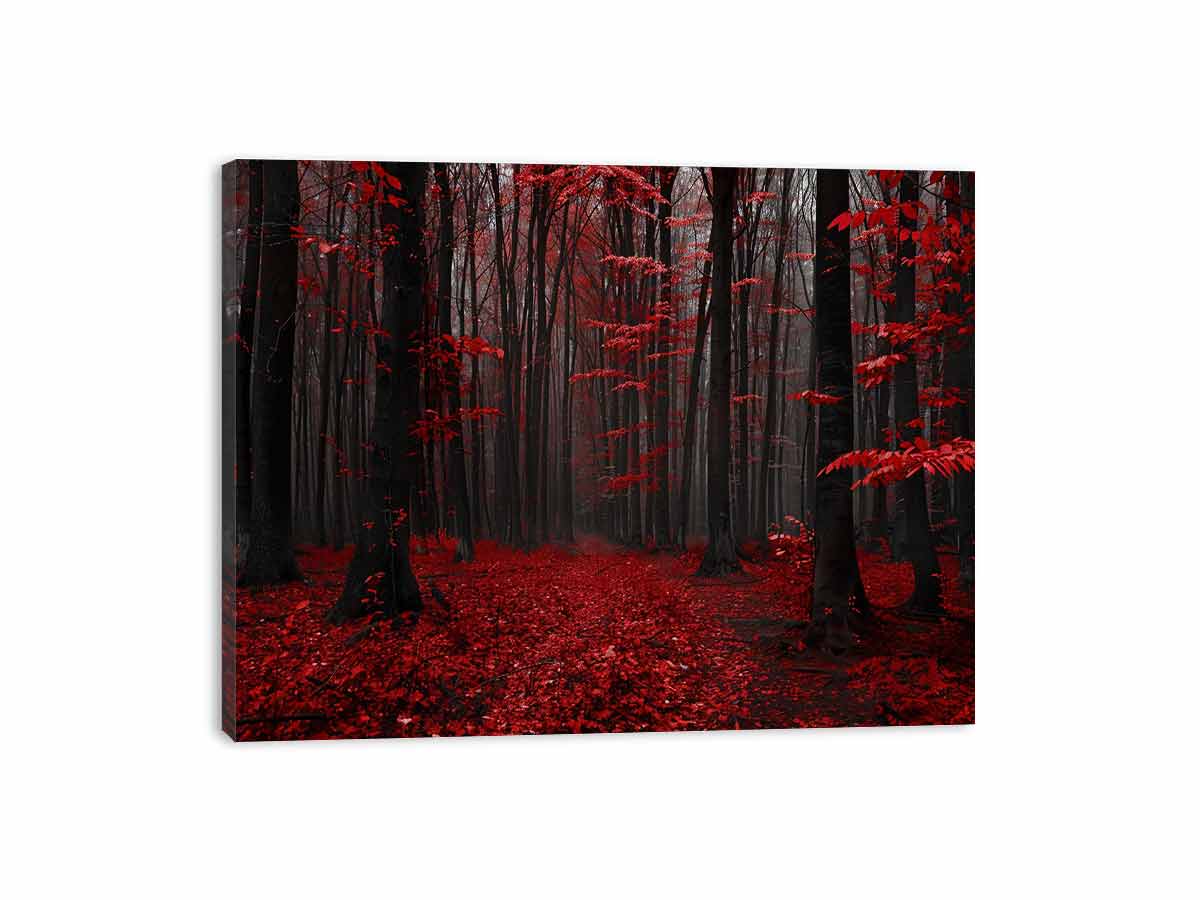 Streched canvas
