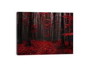 Streched canvas