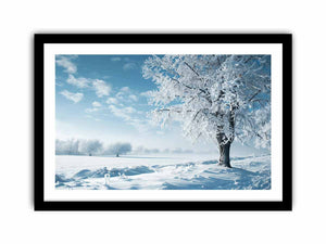 Framed Print