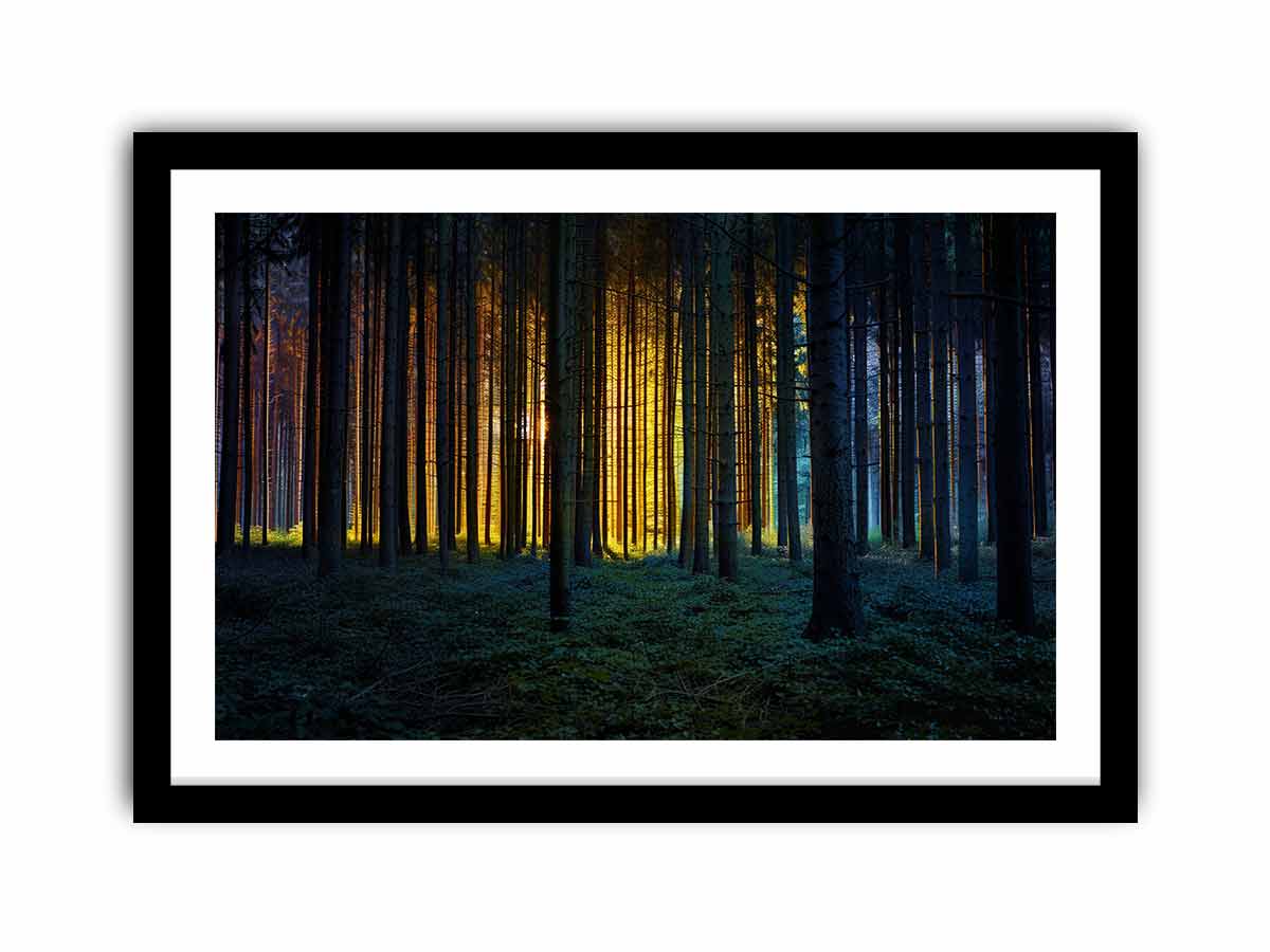 Framed Print