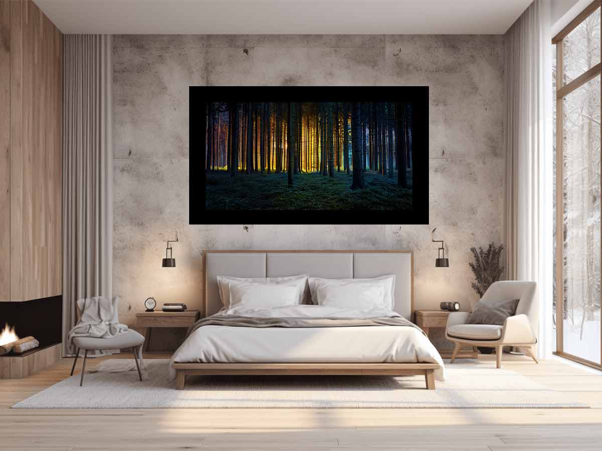 Colorful Forest