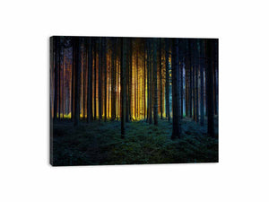 Streched canvas