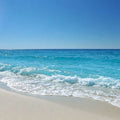 Sunny day at the beach