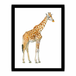 Framed Print