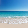 Whispers of the Sea