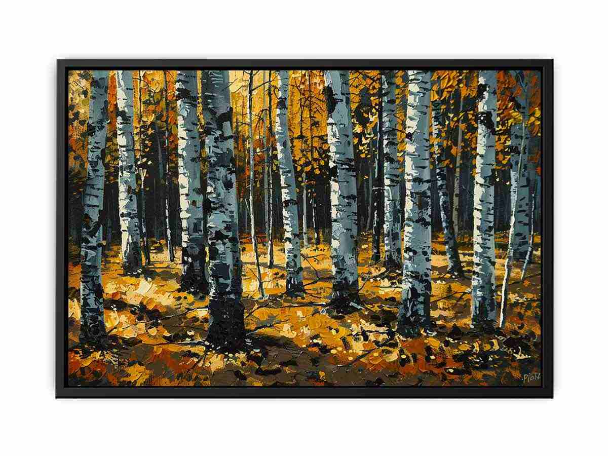 Birch  Trees   Canvas Print