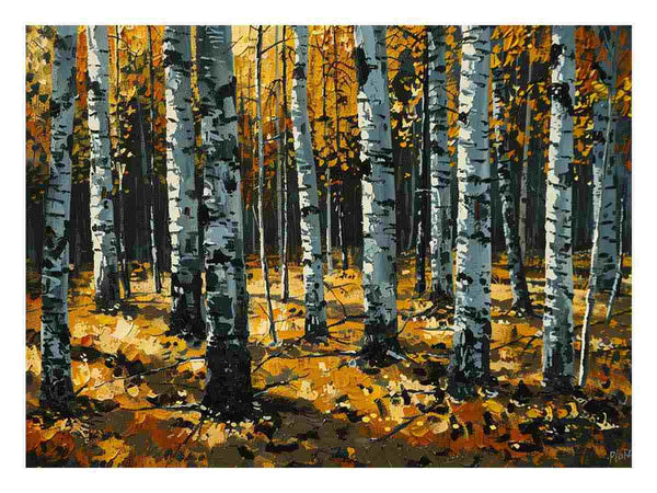 Birch  Trees