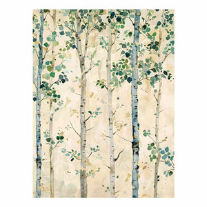 Birch Trees